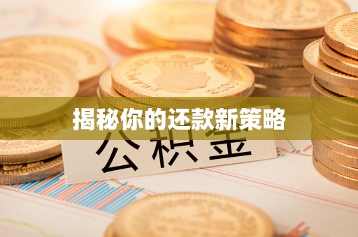 站前揭秘你的还款新策略