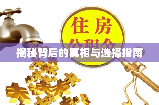 站前揭秘背后的真相与选择指南